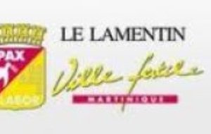 Fête du Lamentin et défilé des associations