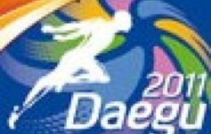 Mondiaux de Daegu - Dimitri Bascou avec les bleus