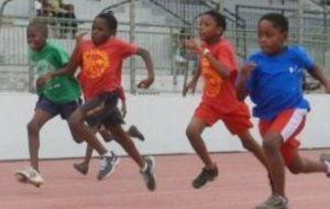 Joli succès pour l'animation Manmay Nou