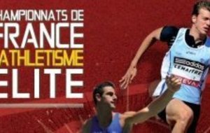 Lénora parmi l’élite 