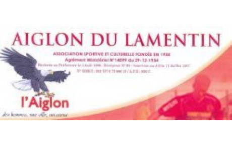 Aiglon Omnisport : la nouvelle équipe