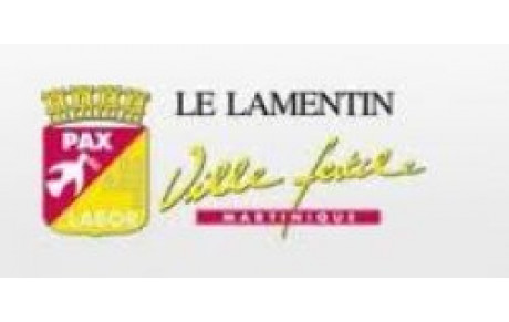 Fête du Lamentin et défilé des associations