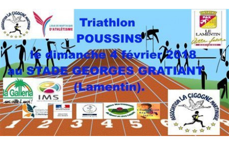 Animation poussins de la Cigogne